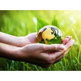 Why a Renewable Energy Audit Is Essential for Energy Efficiency.
