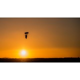 Heatwave forecast for SA, total fire bans for much of state on Friday.