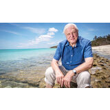 David Attenborough, the voice of Our Planet: “Things are going to get worse”