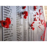 Anzac Day. Lest We Forget.