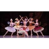 Blackout caused by rat hits Adelaide ballet and dance performances